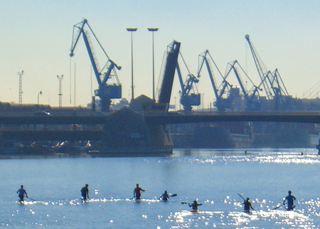 saville cranes and canoes