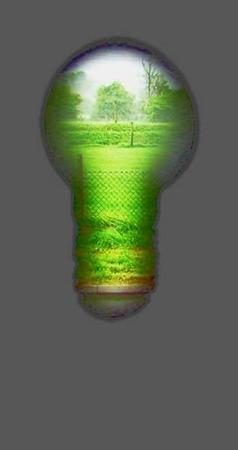 Country Light Bulb