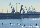 saville cranes and canoes