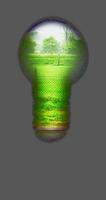 Country Light Bulb